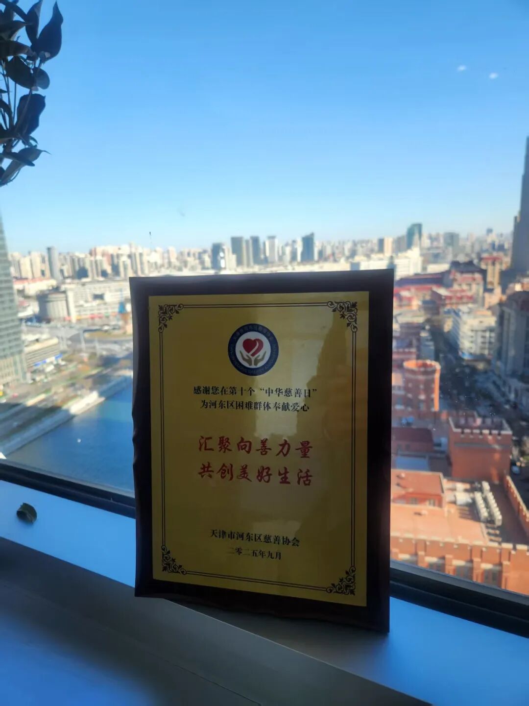 九五至尊VI-老品牌值得信任!